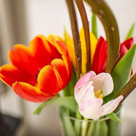 Hotel Nieuwehaven25 Dordrecht