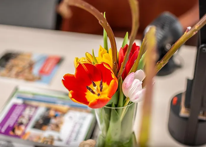 Nieuwehaven25 فندق دوردريشت