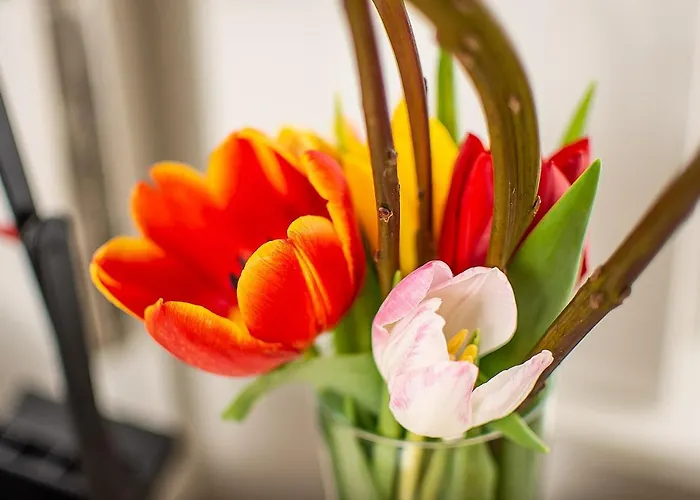 Hotel Nieuwehaven25 Dordrecht