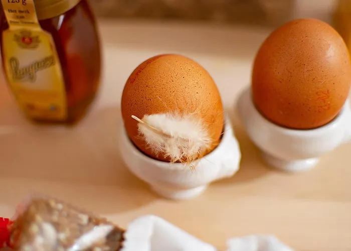 فندق Nieuwehaven25 دوردريشت