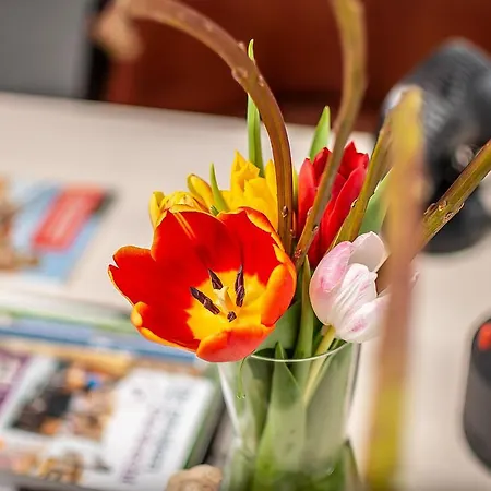 Nieuwehaven25 Hotel Dordrecht